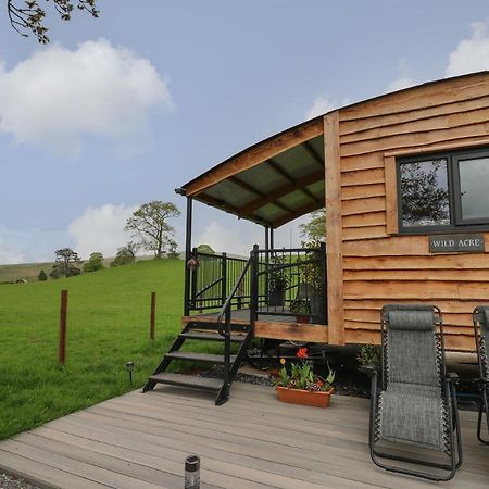 Wild Acre Villa Llangadog Exteriör bild
