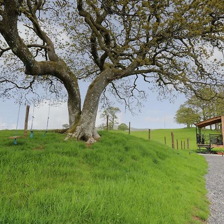 Wild Acre Villa Llangadog Exteriör bild