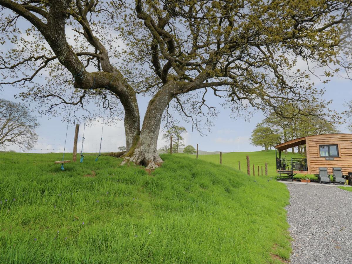 Wild Acre Villa Llangadog Exteriör bild